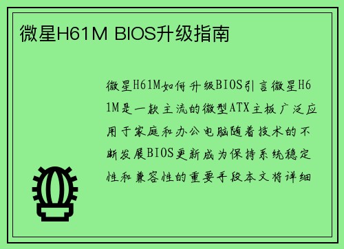 微星H61M BIOS升级指南